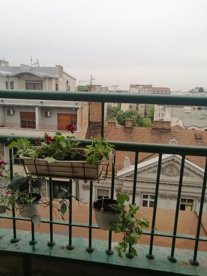 Apartman Centar Beograd Dış mekan fotoğraf